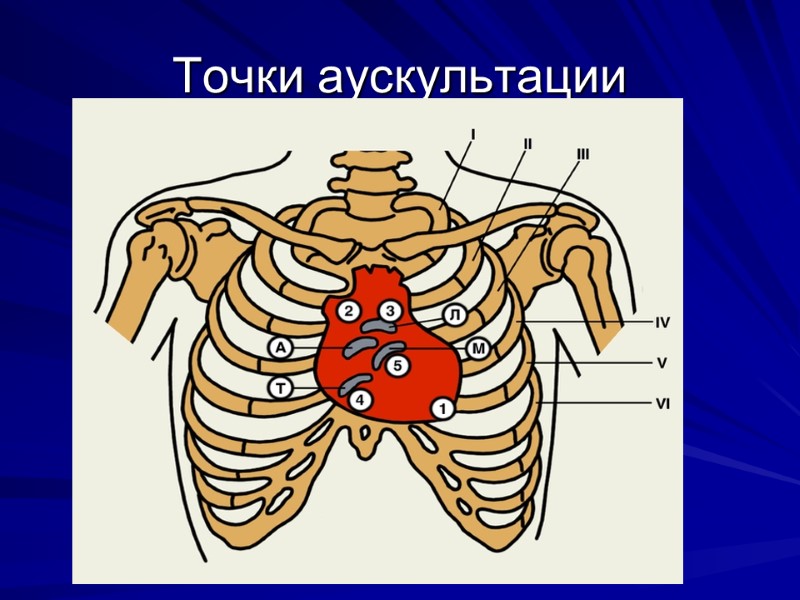 Точки аускультации Точки аускультации
